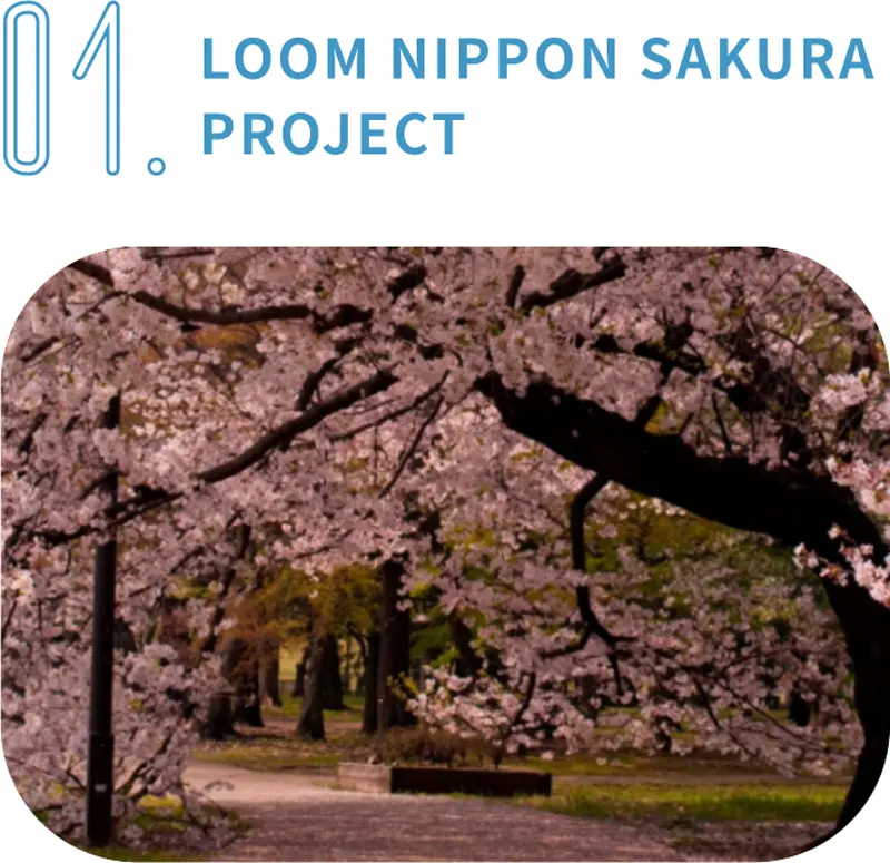LOOM NIPPON SAKURA PROJECT