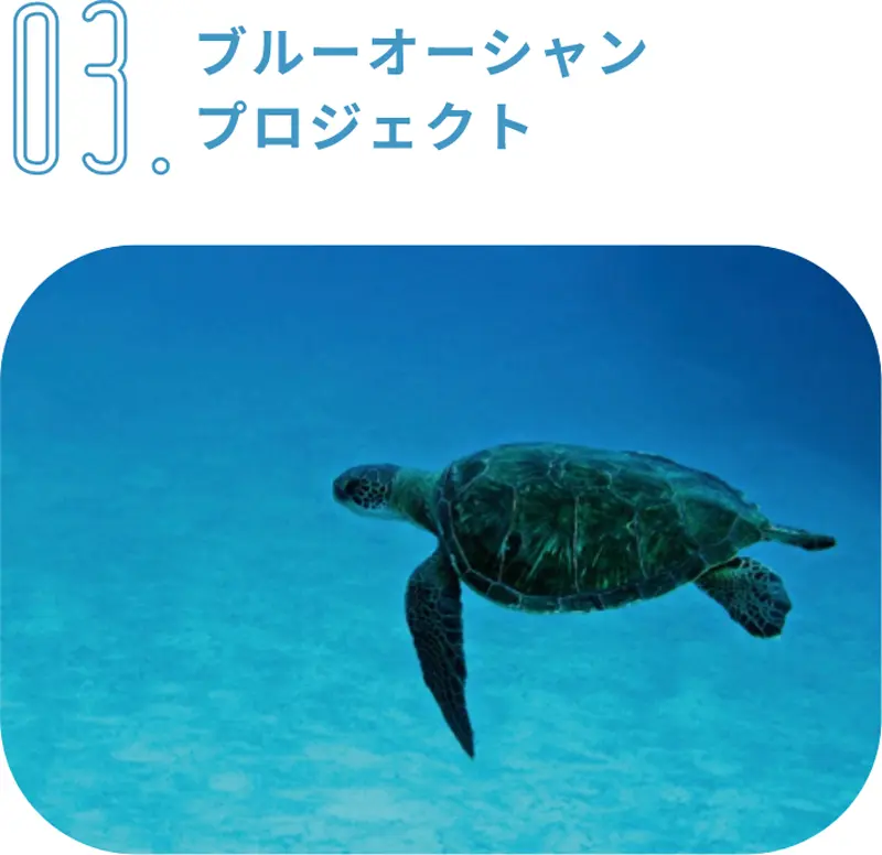 ブルーオーシャン プロジェクト